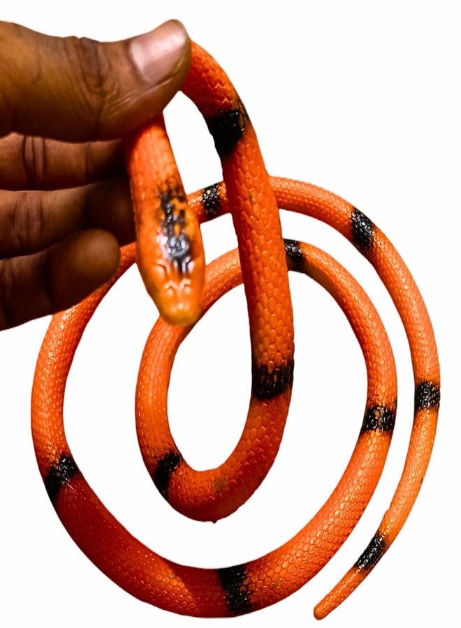 Munmoll Rubber Snake Toy Real Cobra 77 C.M Prank Toy Cobra Snack for Kids Random Colour Rubber Snake Prank Toy Big Size - Image 3